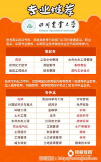 成人教育培訓(xùn) 寧夏成人教育 鋸橙教育 查看